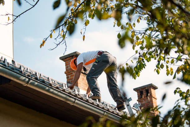 Best Roof Maintenance Services  in Crescent City, FL